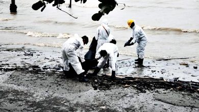 Photo of 保險公司委承包商 清理邊佳蘭海域油污