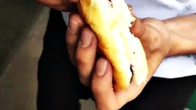 Photo of 【視訊】夾心果醬麵包賣RM12 顧客打開一看：被騙了