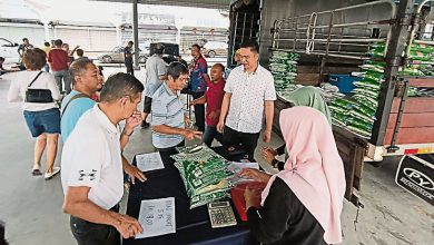 Photo of 馬口議員移交 4對新人領結婚獎勵金