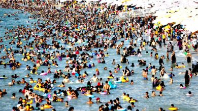 Photo of 地表平均溫17.09℃再破紀錄 2024年7月21日 史上最熱