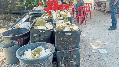 Photo of 亂丟榴槤殼罰款 文冬販商受促聘承包商收集