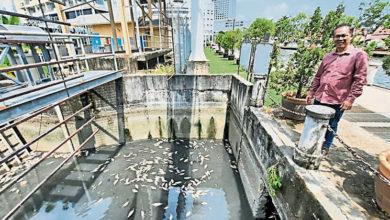 Photo of 帆加南馬組屋後 濾水站滿是死魚好臭