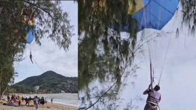 Photo of 遊客普吉島玩水上拖曳傘 意外卡5米高樹上搖搖欲墜