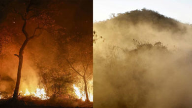 Photo of 巴西大沼澤野火燒不停 今年超過70萬公頃被燒毀