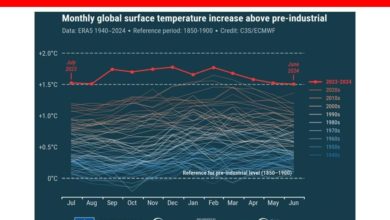 Photo of 全球暖化趨勢顯著 6月創歷史新高