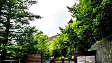 Photo of 富士山半山處設閘門 日限4000人登山