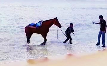 Photo of 峇都丁宜海灘再非法騎馬 3馬被扣2逃了