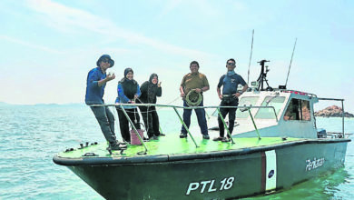 Photo of 帶刺浮游生物  豐盛港海域已無翼足目