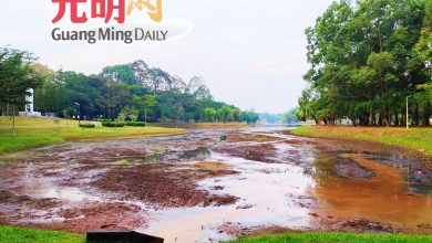 Photo of 水位驟降 湖床裸露 乾旱破壞太平湖美景