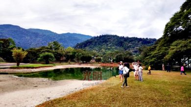 Photo of 太平久旱逢甘露 市民盼再下雨盈滿湖水