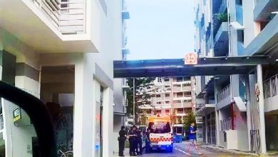 Photo of 組屋停車場“談判” 少年遭圍毆致傷入院 12男女被捕