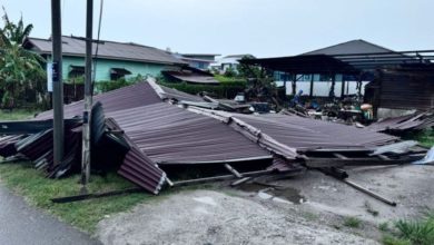 Photo of 暴風雨橫掃適耕莊 樹倒屋塌 屋瓦亂飛