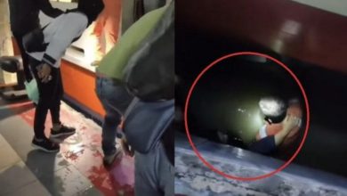 Photo of 渡輪突移動致腳踏空 2青年勇救墜海老婦