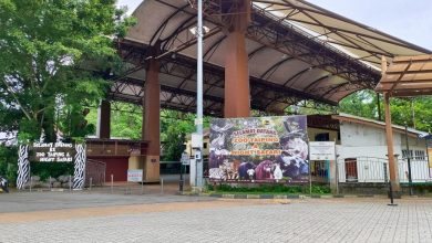 Photo of 即起至12月31 太平動物園推出優惠