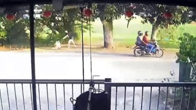 Photo of 華婦攜2小孩散步 遭2歹徒搶金鏈