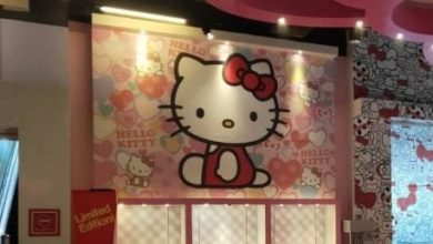 Photo of 被誤會萌貓近半世紀 官方再澄清Hello Kitty是人