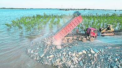 Photo of 洞庭湖決堤已封堵75米 洪水向外倒流增難度