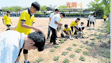 Photo of 獨中足球場凹凸不平 新民師生合力鋪草皮