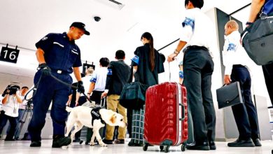 Photo of 東京成田機場首部署 紙幣探知犬打擊洗錢犯罪