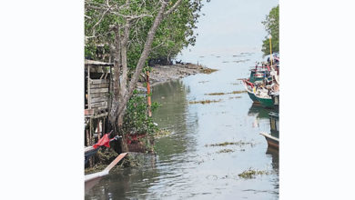 Photo of 漁民憂草堆丟河破壞船體 朱建華：承包商將重審SOP