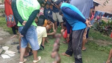 Photo of 4公尺蟒蛇吃人！婦女遭“吞到肩膀”吐出亡
