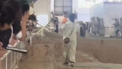 Photo of 母親腳踏兵馬俑坑 不排隊只為救孩子