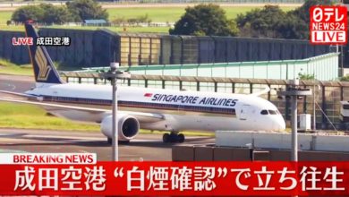 Photo of 新航波音客機降落時左引擎冒煙 成田機場一度關閉