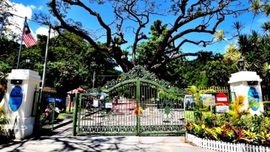 Photo of 升旗山空中纜車施工期間 檳植物園持續開放