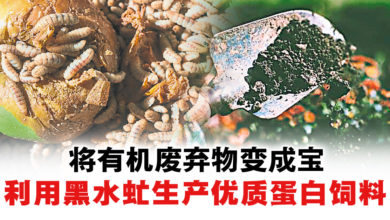 Photo of Genting Sustainbiz食品展倡导循环永续 Entomal Biotech 利用黑水虻生产优质蛋白饲料