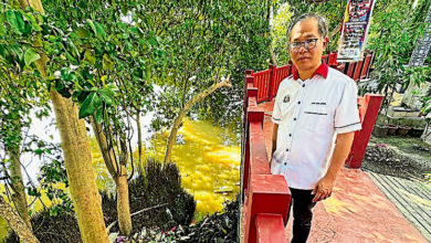 Photo of 甲河再現大量死魚  劉志俍促環境局速查原因