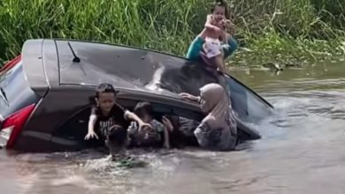 Photo of 閃避群猴 轎車落水 路人英雄勇救2婦女4小孩