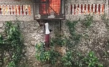 Photo of 青年無懼火海 奮勇救2兔 “牠們也是生命”
