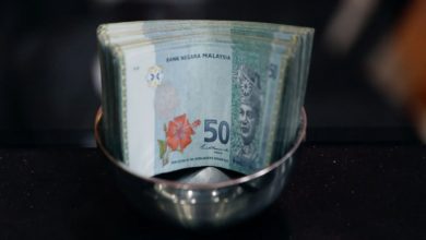 Photo of 馬幣虎虎生威 料創50年最佳升勢