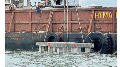 Photo of 甲哆哆島海域 置12人造礁培育珊瑚