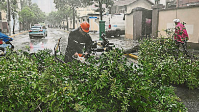 Photo of 風力逐步增強 “普拉桑”今浙江沿海登陸