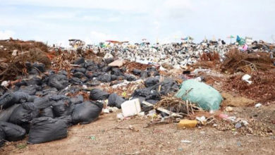 Photo of 泰國普吉每天1100噸垃圾 焚化爐掩埋場快撐不住了