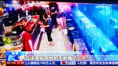 Photo of 女子超市撈魚被刺致八級傷殘 醫生提醒：這些海鮮可能奪命