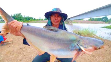 Photo of 水來捕魚成桌上餐 災民意外收獲