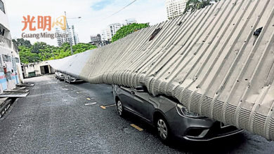 Photo of 檳大風雨多處樹倒 停車場遮棚倒下壓車