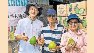 Photo of 宥勝遭判刑不上訴　 低調推廣有機文旦