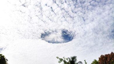 Photo of 麻坡出現雨幡洞雲   歷時逾半小時