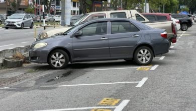 Photo of 914至920免費停車 甲州回饋遊客支持