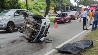 Photo of 靈鹿翻車 1死1傷