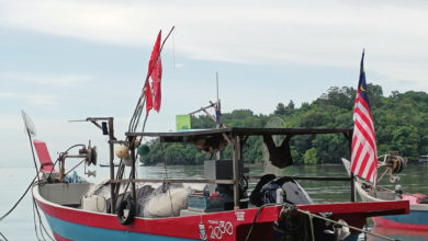 Photo of 填海後魚蝦量激增 140漁民力挺矽谷島