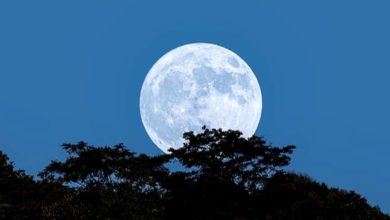 Photo of 超級月亮來了!  農曆八月十六 與您過中秋