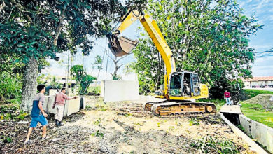 Photo of 李政賢：工程獲批撥款下放 2新村修建河堤