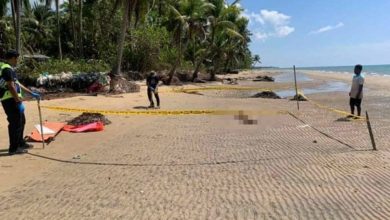 Photo of 10歲童海邊戲水 遭鱷魚咬斷頭