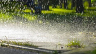 Photo of 預計10月底開始 極端降雨更頻密