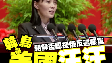 Photo of 朝鮮否認援俄 罵韓烏是美國的汪汪
