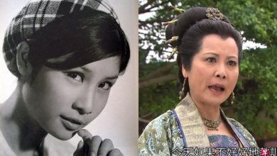 Photo of 75歲TVB金牌綠葉 李麗麗病逝